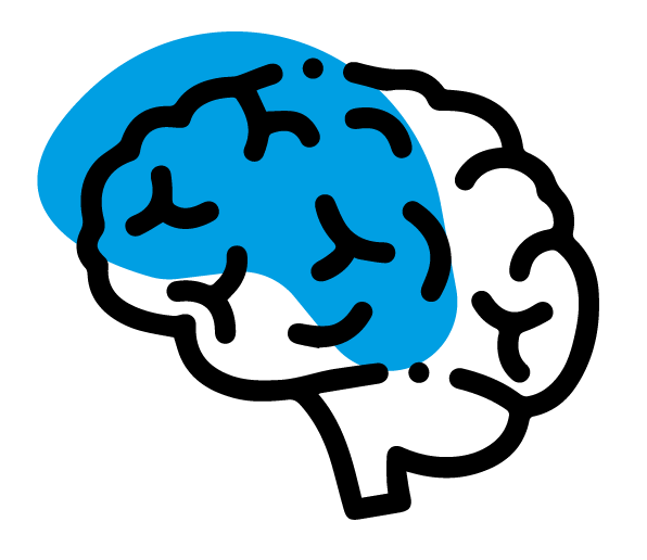 cerebro 2 structogram